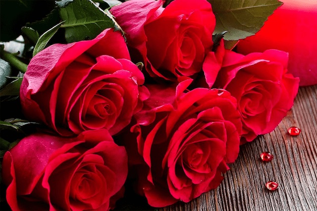 Màu đỏ của hoa hồng mang ý nghĩa may mắn cho những ngày đầu năm mới